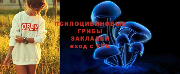 амф Горнозаводск